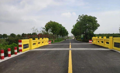 上海這些鄉村路處處是風景,您中意哪些 2020上海十大最美鄉村路 評選活動開始啦